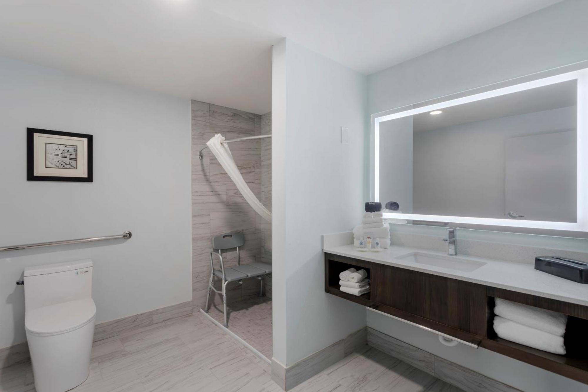 King Suite Roll Shower Accessible or Non-Smoking,1600570696:JPEG